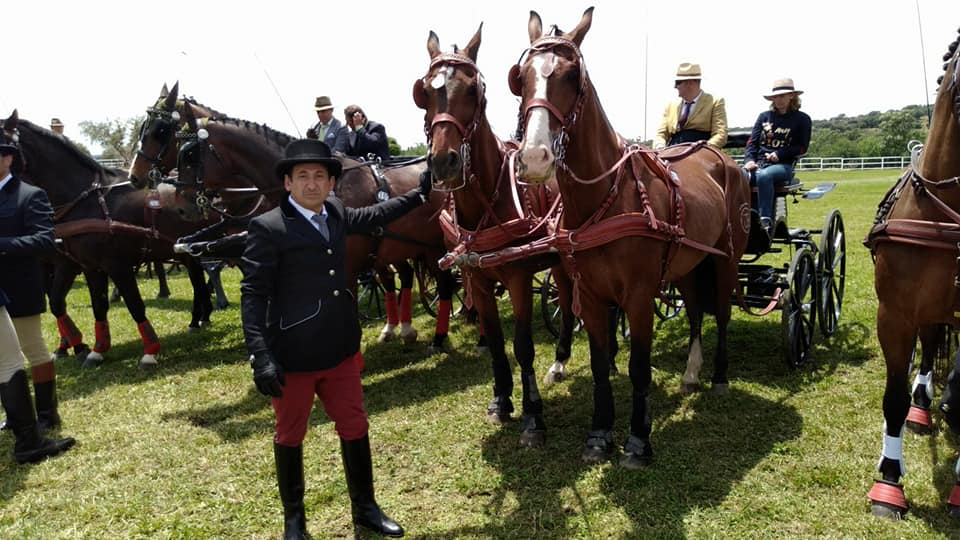 Excelente representación Navarra en la Copa S.M. el Rey de Enganches 2018